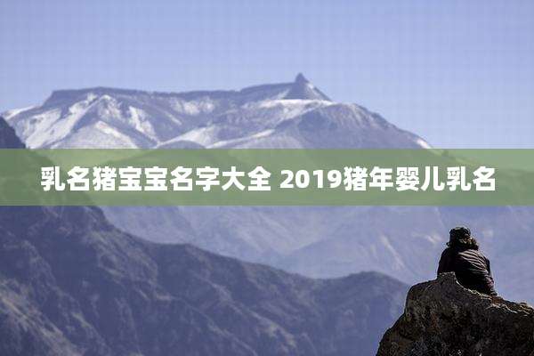 乳名猪宝宝名字大全 2019猪年婴儿乳名