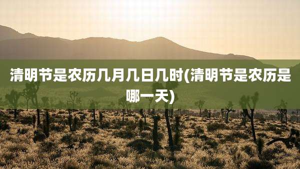 清明节是农历几月几日几时(清明节是农历是哪一天)