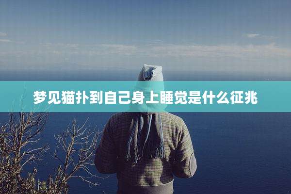 梦见猫扑到自己身上睡觉是什么征兆