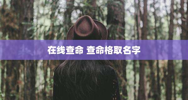 在线查命 查命格取名字