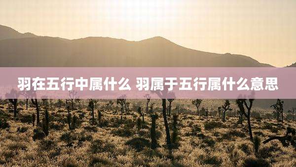 羽在五行中属什么 羽属于五行属什么意思