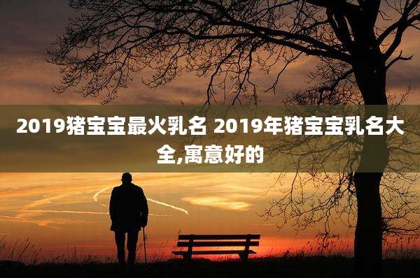 2019猪宝宝最火乳名 2019年猪宝宝乳名大全,寓意好的