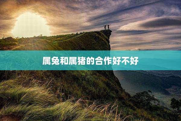 属兔和属猪的合作好不好