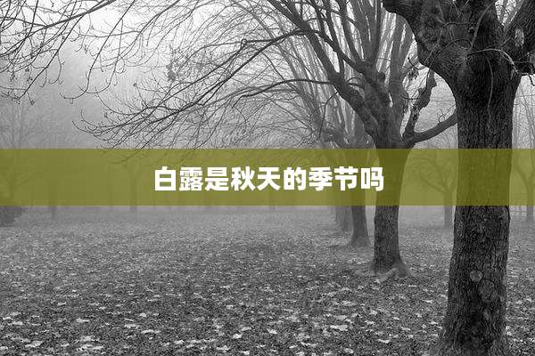 白露是秋天的季节吗