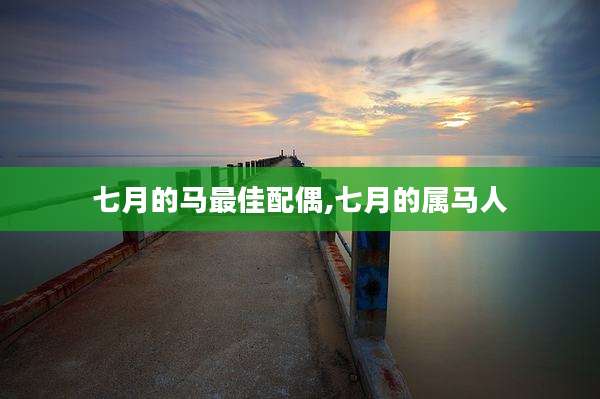 七月的马最佳配偶,七月的属马人