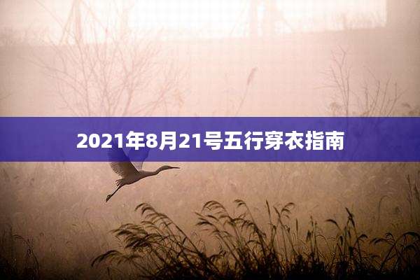 2021年8月21号五行穿衣指南