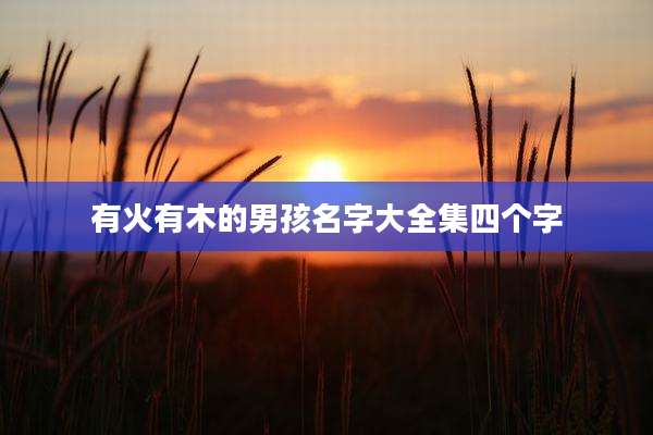 有火有木的男孩名字大全集四个字