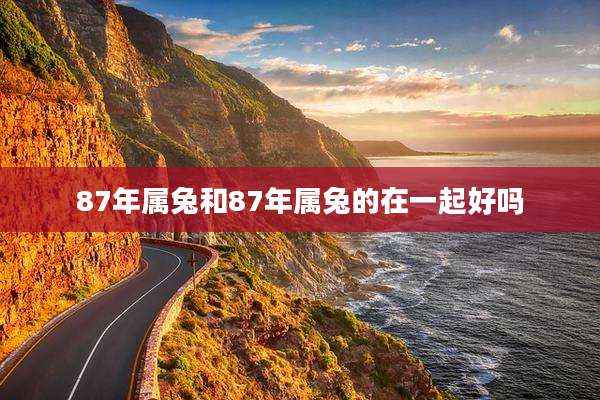 87年属兔和87年属兔的在一起好吗