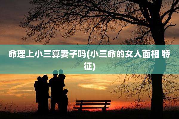 命理上小三算妻子吗(小三命的女人面相 特征)