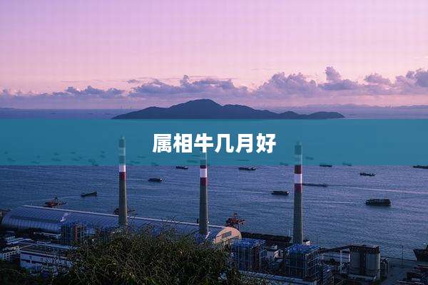 属相牛几月好