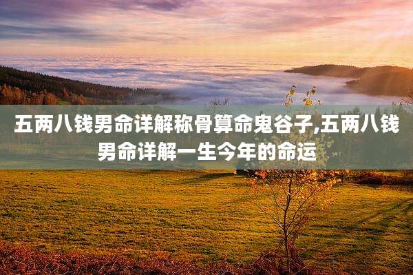 五两八钱男命详解称骨算命鬼谷子,五两八钱男命详解一生今年的命运