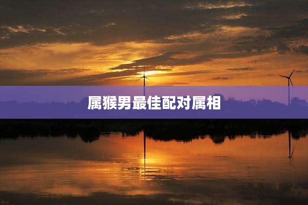 属猴男最佳配对属相