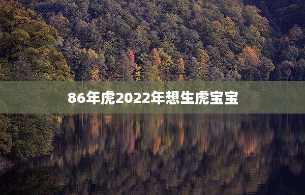 86年虎2022年想生虎宝宝