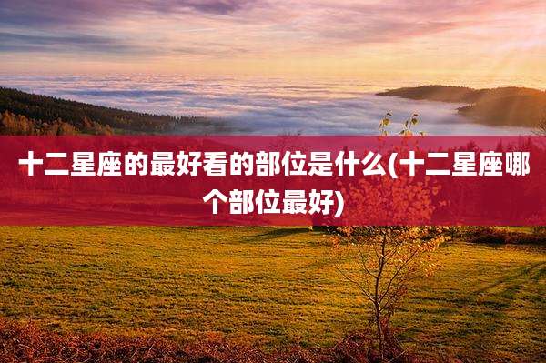 十二星座的最好看的部位是什么(十二星座哪个部位最好)