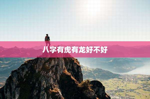 八字有虎有龙好不好