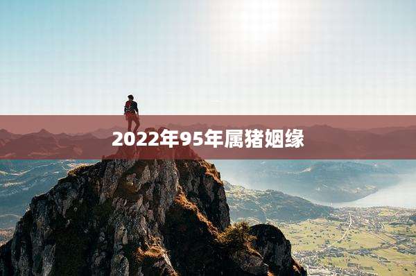 2022年95年属猪姻缘