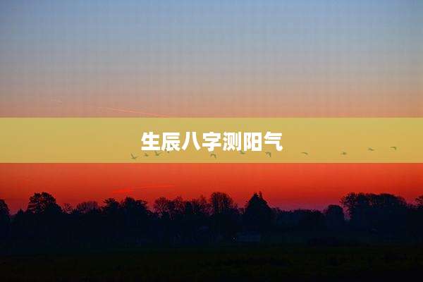 生辰八字测阳气