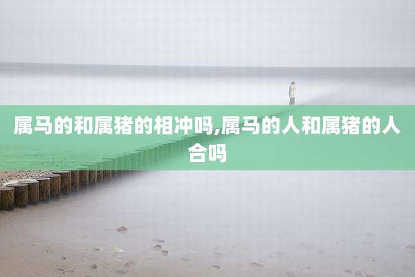 属马的和属猪的相冲吗,属马的人和属猪的人合吗