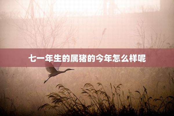 七一年生的属猪的今年怎么样呢