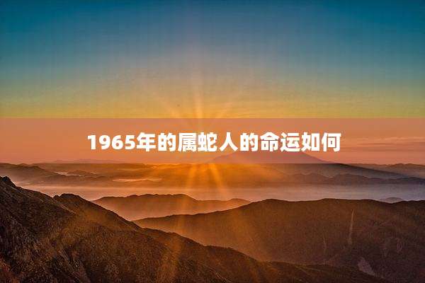 1965年的属蛇人的命运如何