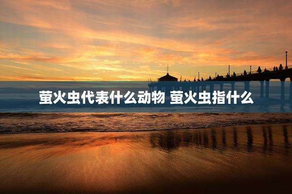 萤火虫代表什么动物 萤火虫指什么