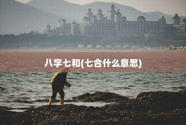 八字七和(七合什么意思)