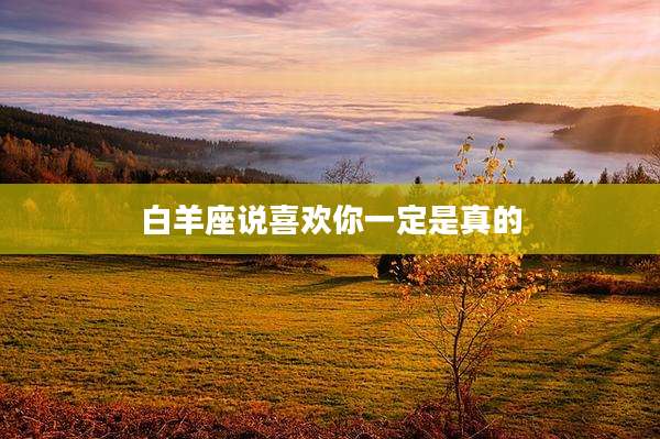 白羊座说喜欢你一定是真的