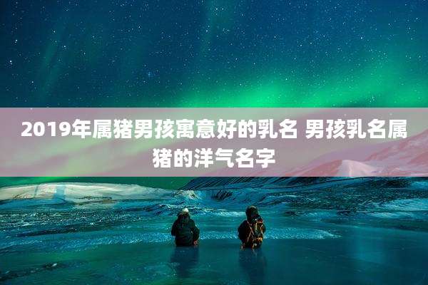 2019年属猪男孩寓意好的乳名 男孩乳名属猪的洋气名字