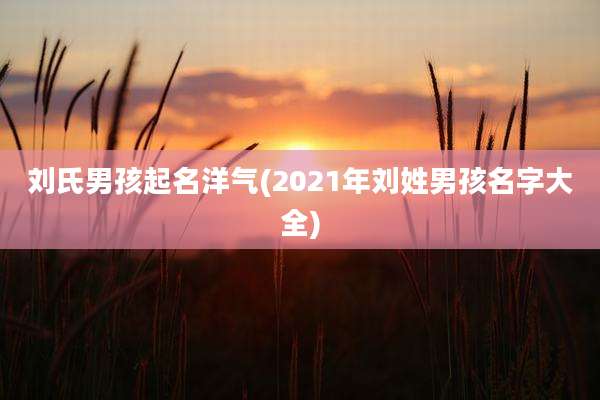 刘氏男孩起名洋气(2021年刘姓男孩名字大全)