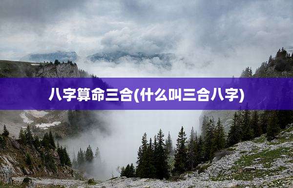 八字算命三合(什么叫三合八字)