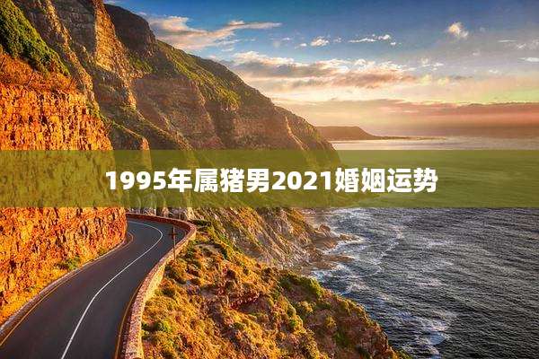 1995年属猪男2021婚姻运势
