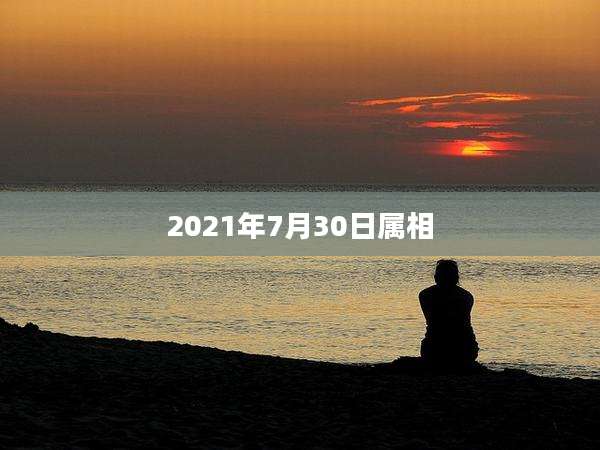 2021年7月30日属相