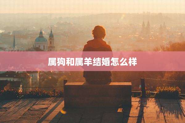 属狗和属羊结婚怎么样