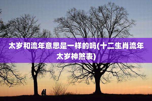 太岁和流年意思是一样的吗(十二生肖流年太岁神煞表)