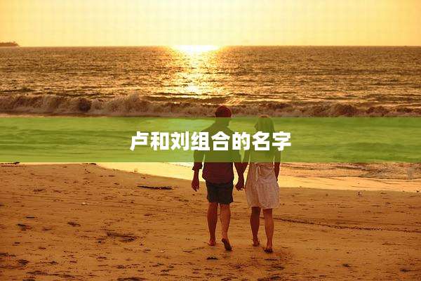 卢和刘组合的名字