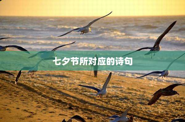 七夕节所对应的诗句