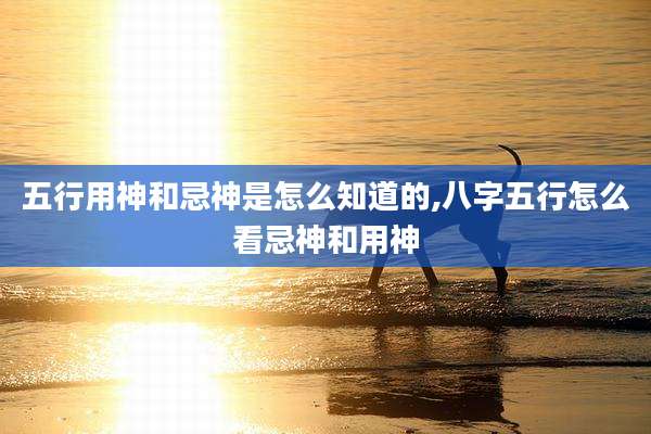 五行用神和忌神是怎么知道的,八字五行怎么看忌神和用神
