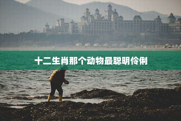 十二生肖那个动物最聪明伶俐