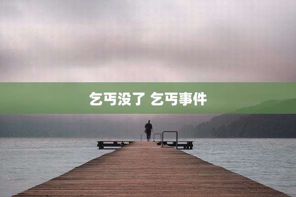 乞丐没了 乞丐事件