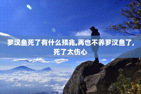 罗汉鱼死了有什么预兆,再也不养罗汉鱼了,死了太伤心