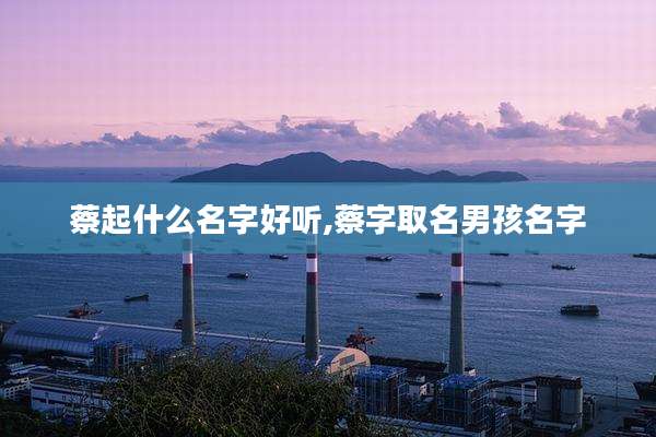 蔡起什么名字好听,蔡字取名男孩名字