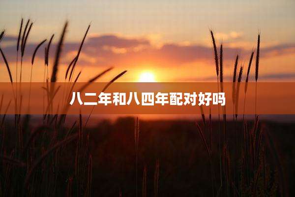 八二年和八四年配对好吗