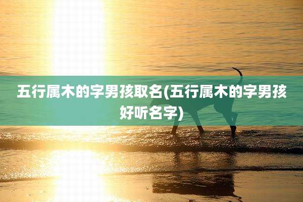五行属木的字男孩取名(五行属木的字男孩好听名字)