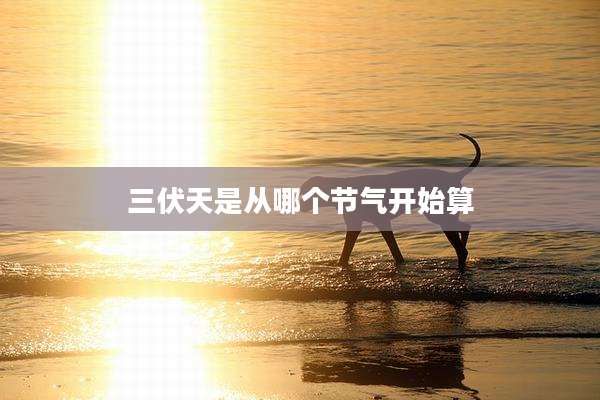 三伏天是从哪个节气开始算