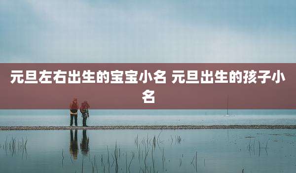 元旦左右出生的宝宝小名 元旦出生的孩子小名