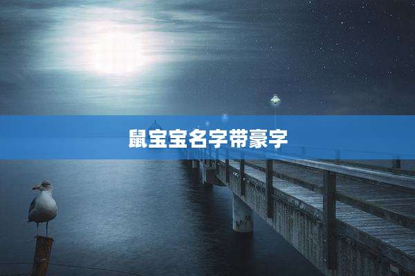 鼠宝宝名字带豪字