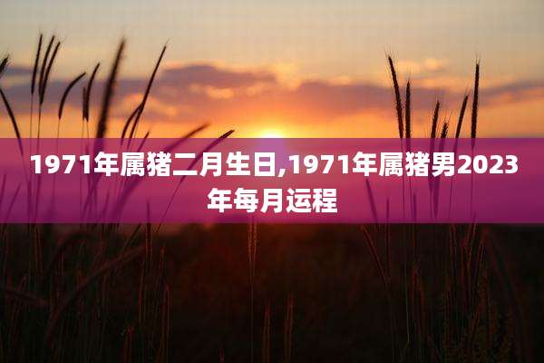 1971年属猪二月生日,1971年属猪男2023年每月运程