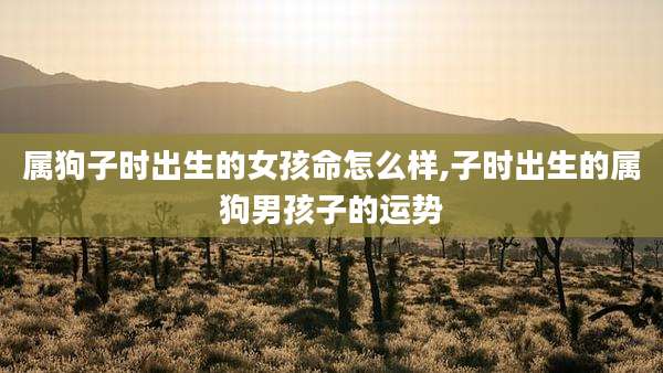 属狗子时出生的女孩命怎么样,子时出生的属狗男孩子的运势