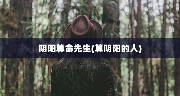 阴阳算命先生(算阴阳的人)