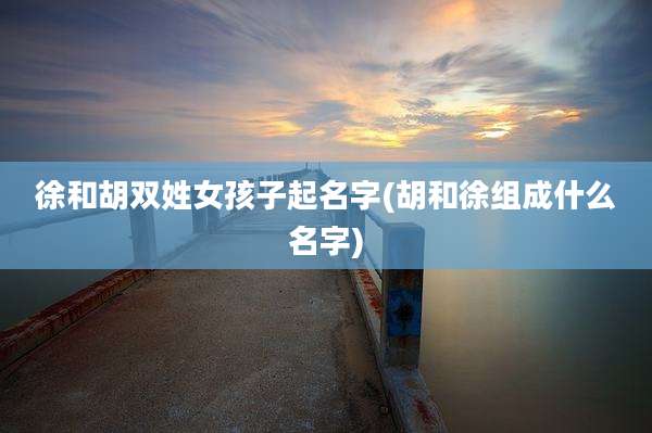 徐和胡双姓女孩子起名字(胡和徐组成什么名字)